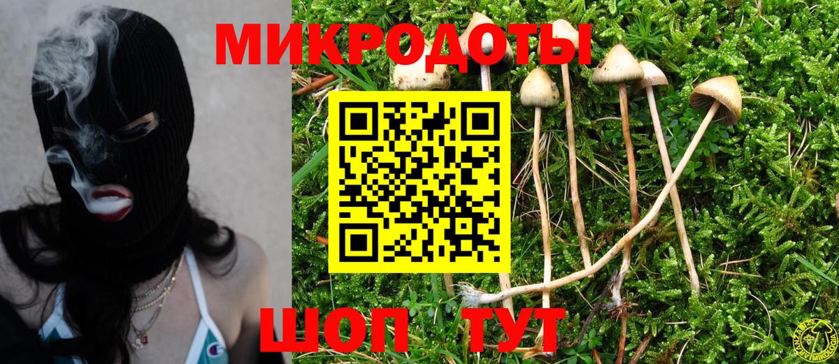 Псилоцибиновые грибы прущие грибы Семилуки
